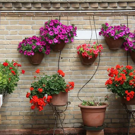 Garden House * Murano